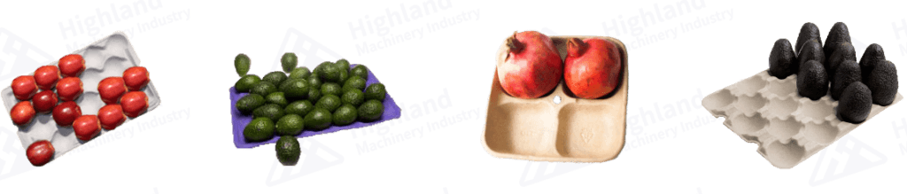 Charolas de fruta producidas por máquina moldeadora de pasta de papel