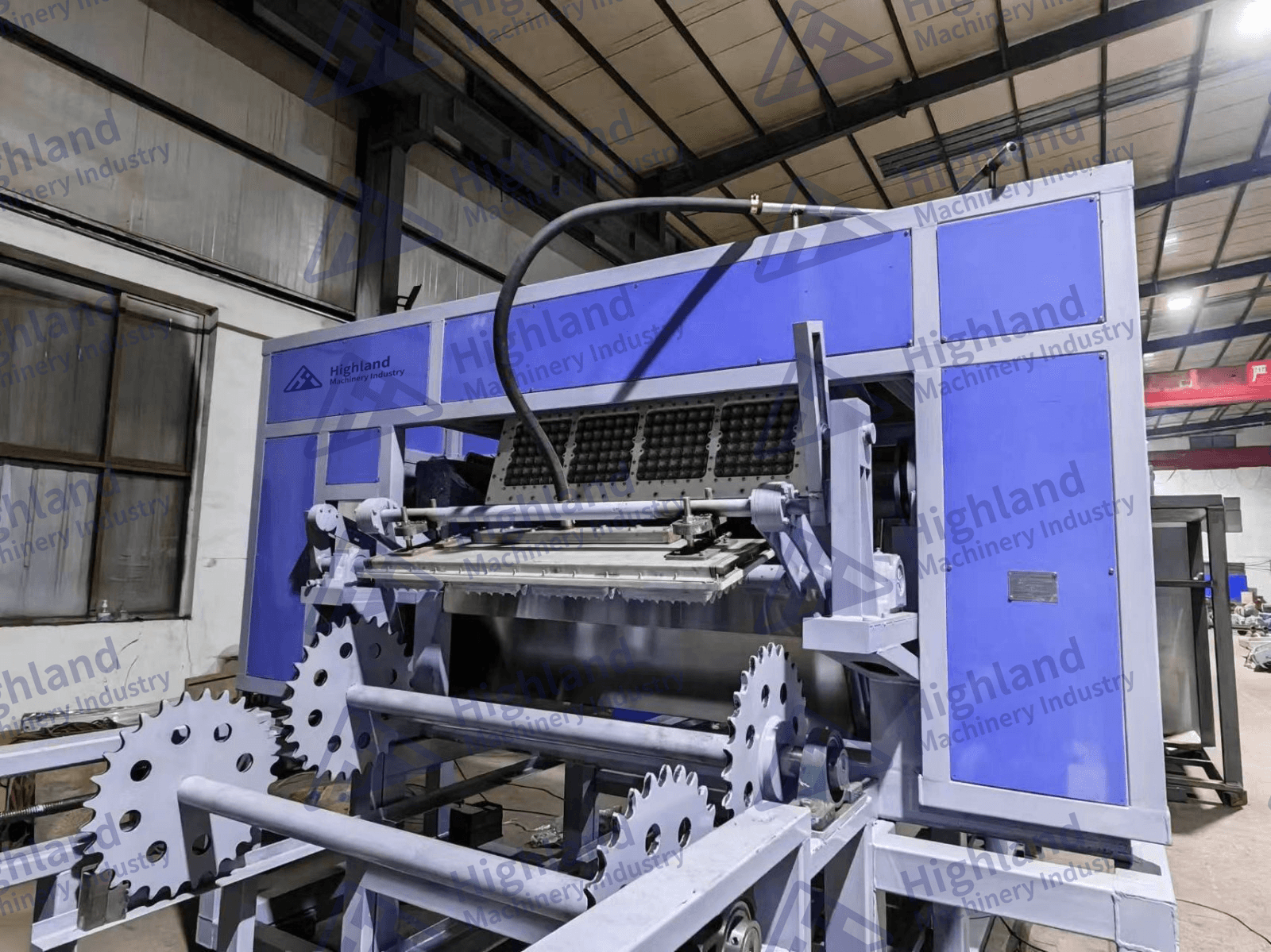 Máquina para Hacer Charolas de Fruta con Horno