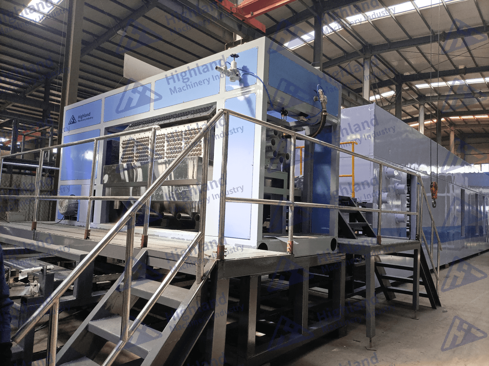 Máquina para Hacer Maples de Huevos 5X8 Bolivia