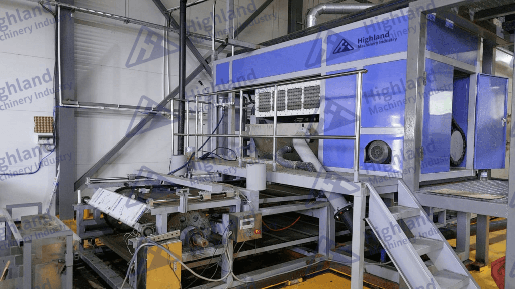 Máquina para hacer bandejas de huevos con horno automático HIP-4X4