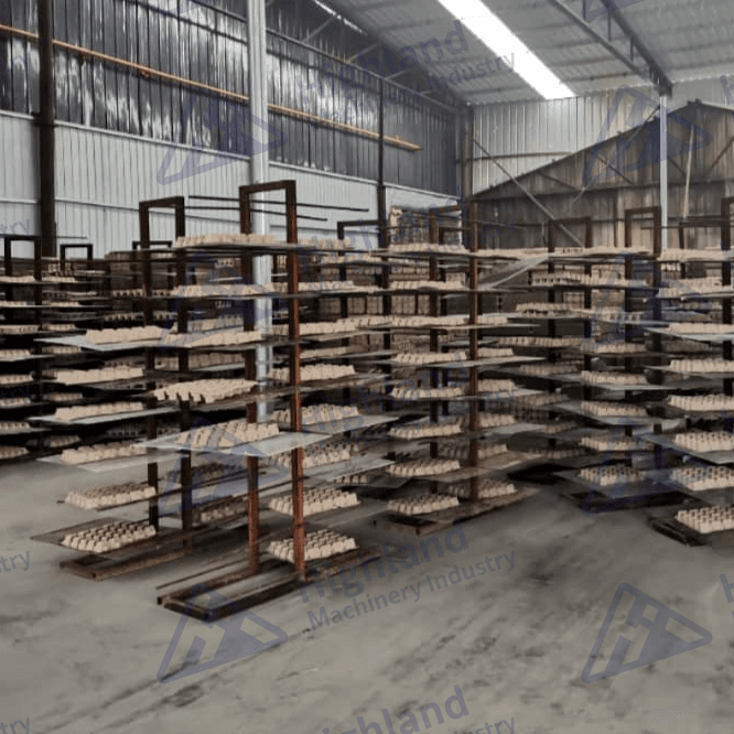 Secado natural de cubetas para huevos Secado natural de cubetas para huevos