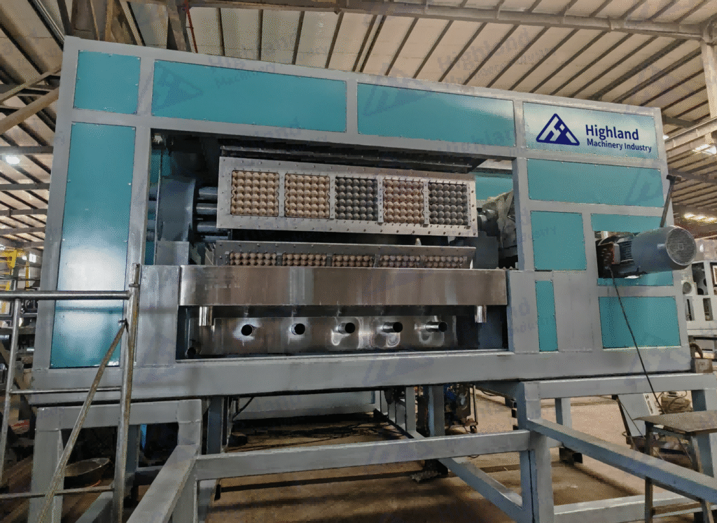 Máquina para hacer cubetas de huevos precio